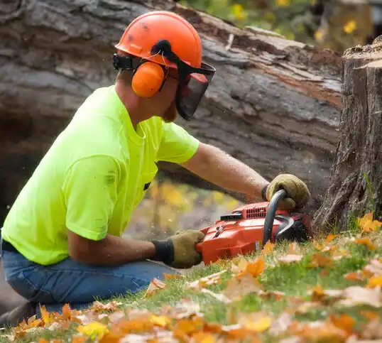 tree services Helena Valley West Central